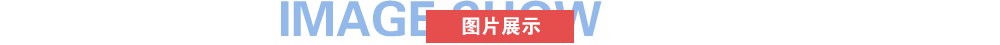 图片展示